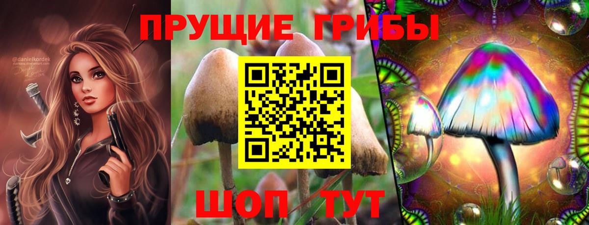 Ханты-Мансийск  Псилоцибиновые грибы Cubensis  Вход с VPN 